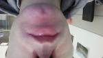 Странная бледность губы внутрти рта фото 1