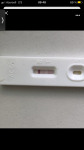 Тест на беременность и выделения кровавые фото 1