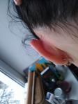 Болит ухо после прокола хряща фото 2