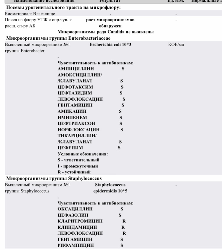 Отделяемое урогенитального тракта. Бак посев мочи Escherichia coli 10 4. Посев урогенитального тракта на микрофлору. Бак посев из урогенитального тракта норма. Посевы из урогенитального тракта.