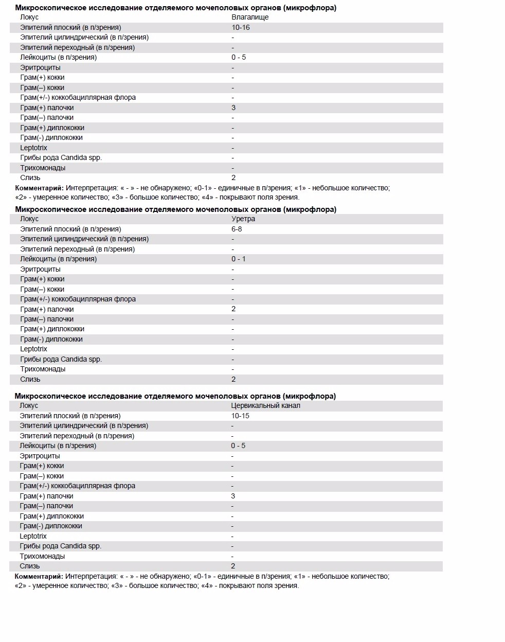 Положительные палочки. Микроскопическое исследование отделяемого половых органов. Микроскопическое исследование отделяемого мочеполовых органов. Отделяемое мочеполовых органов микроскопия. Микроскопическое исследование отделяемого урогенитальных органов.