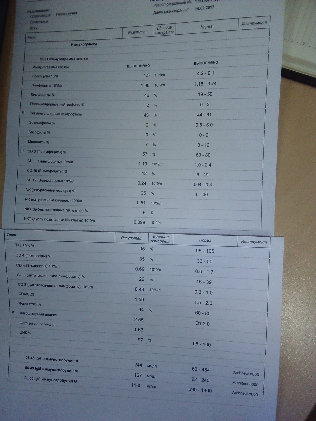 Иммунограмма что это. Иммунограмма анализ. Кровь на иммунограмму. Иммунограмма фагоцитоз. Иммунограмма норма.