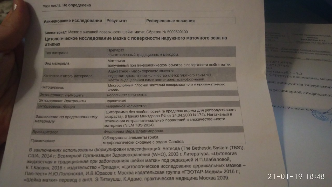 Что такое экзоцервикс и эндоцервикс в гинекологии. Цитограмма в пределах нормы. Цитограмма шейки матки. Цитология экзоцервикс и эндоцервикс норма.