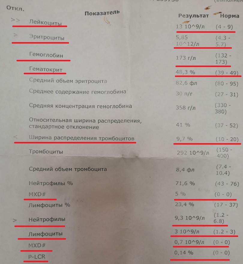 Гематокрит повышены у мужчины. MXD норма. Анализ крови на операцию глаза. Норма нейтрофилов в анализе мокроты.