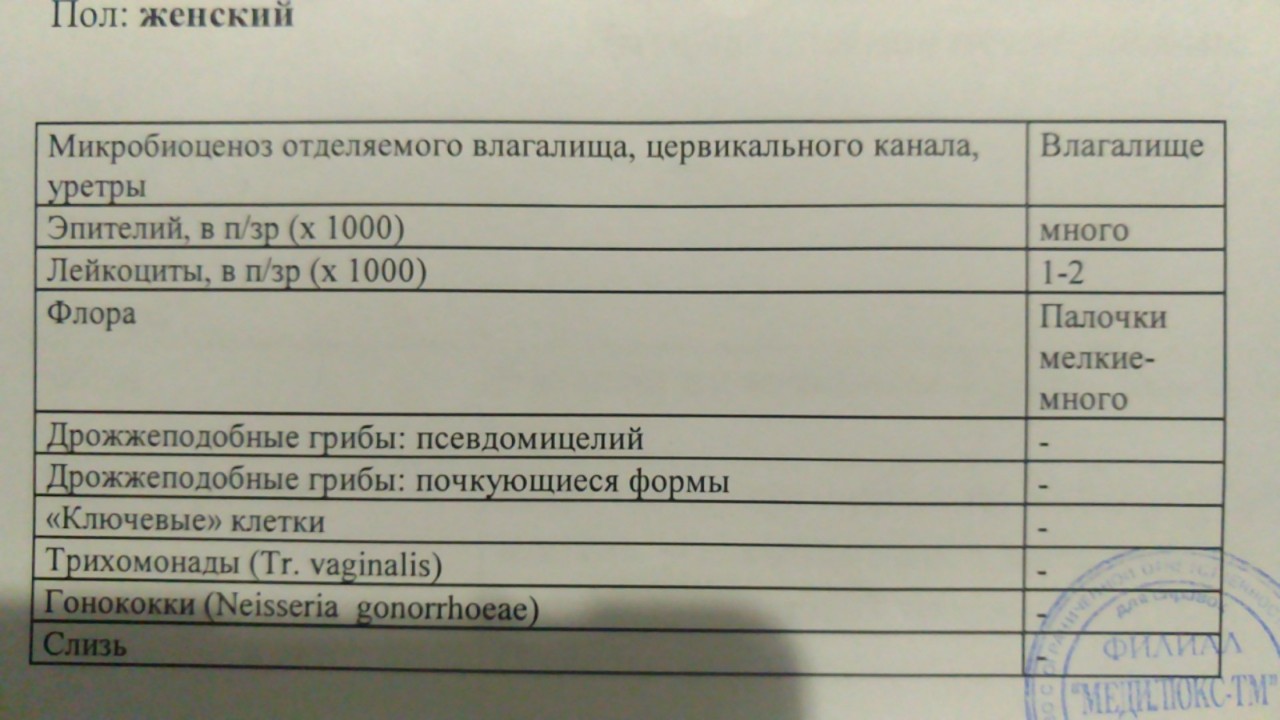 Большое количество палочек в мазке у женщин