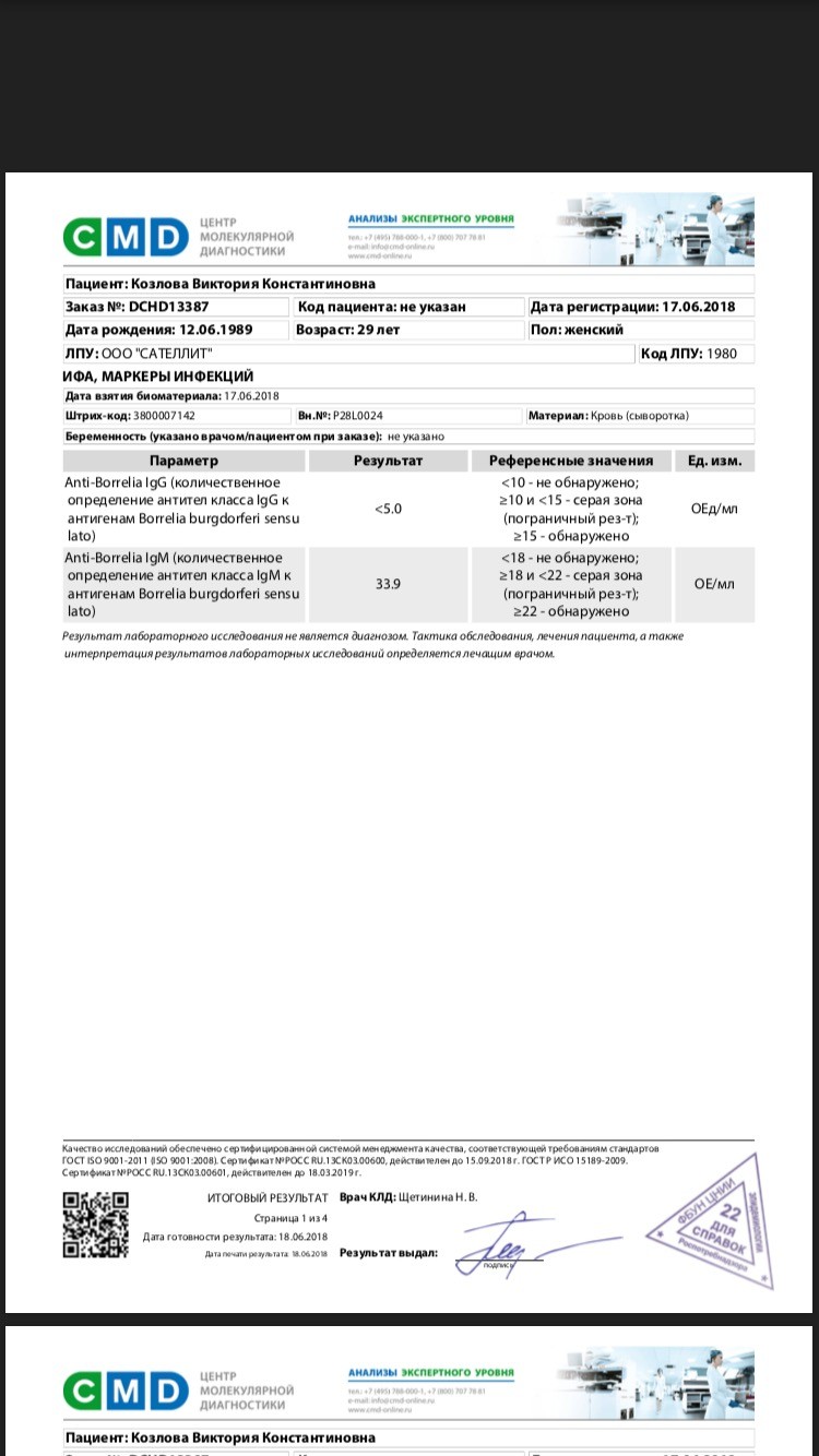 Borrelia burgdorferi igg. Расшифровка анализа крови на боррелиоз. Результаты анализа на боррелиоз. Антитела IGM Borrelia burgdorferi. Отрицательный анализ на боррелиоз.