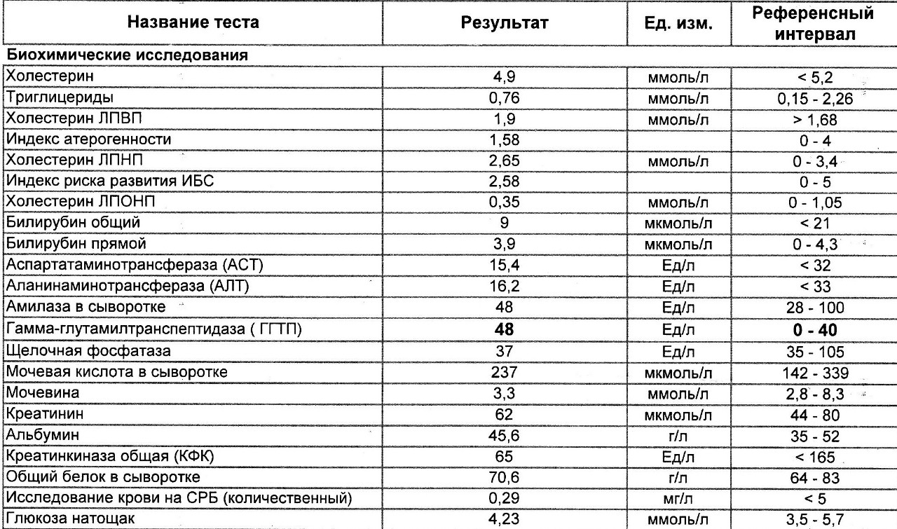 Понимающий анализ