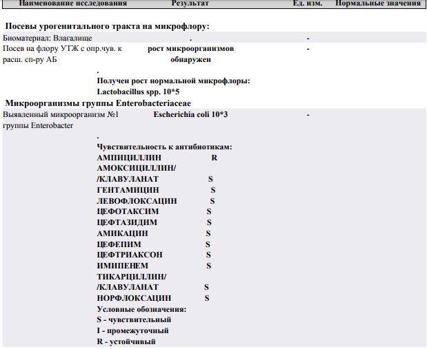 Урогенитальный тракт. Посев отделяемого урогенитального тракта. Посев урогенитального тракта на микрофлору расшифровка. Посевы урогенного тракта на микрофлору. Посев отделяемого урогенитального тракта на микрофлору расшифровка.