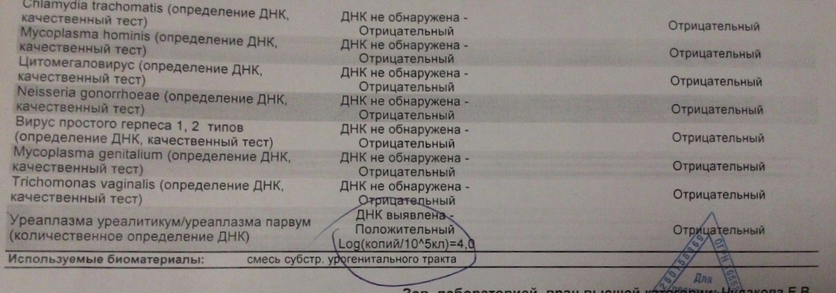 Хламидии и микоплазмы. Уреаплазма уреалитикум и парвум. Уреаплазма уреалитикум/уреаплазма парвум. Нормы уреаплазмы парвум. Уреаплазма не обнаружена.