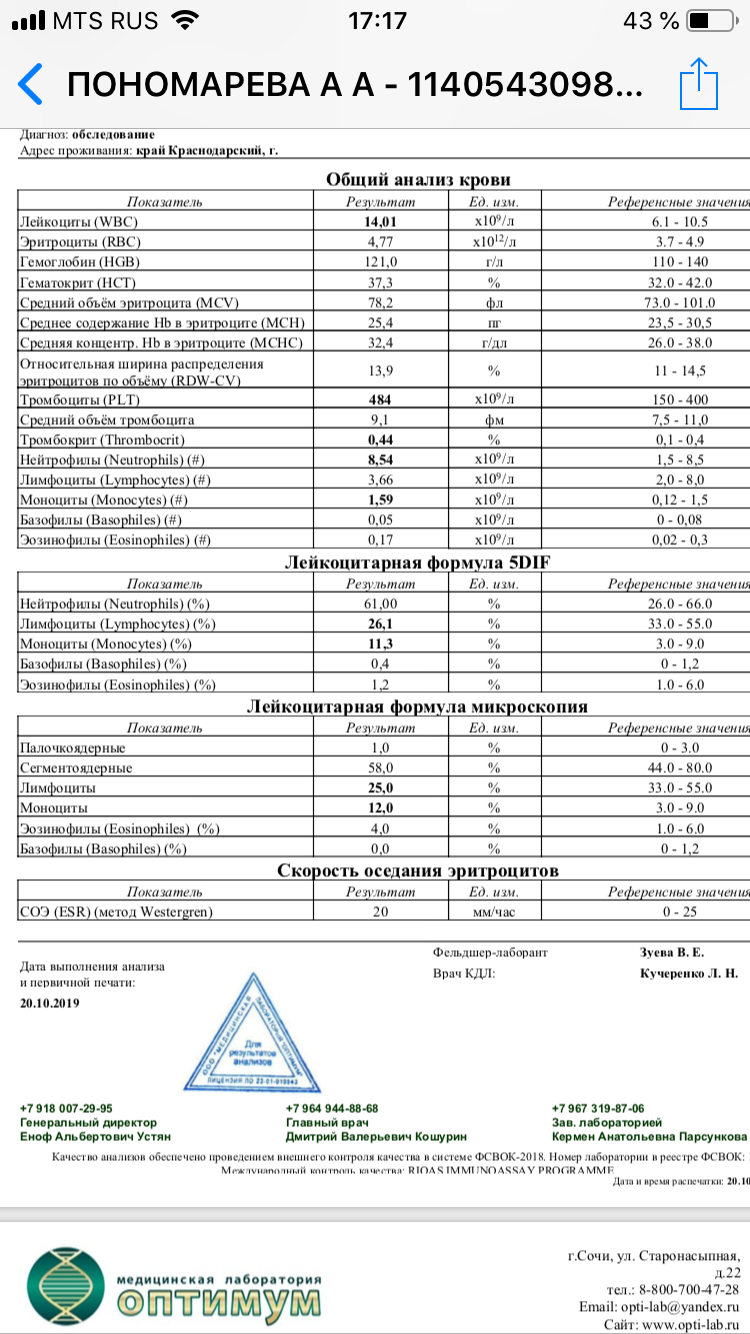 Описание результатов анализа