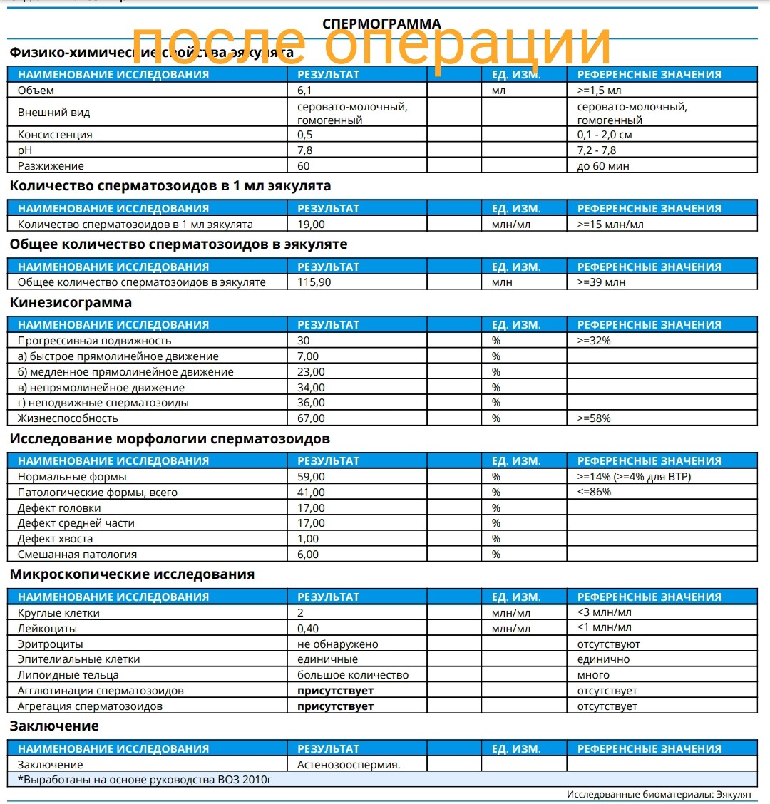 восстановление спермы после операции варикоцеле фото 23