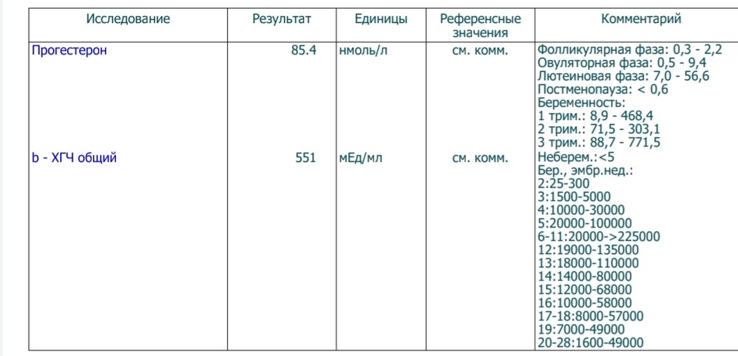 Нормальный человек не может адаптироваться к «социальной помойке»