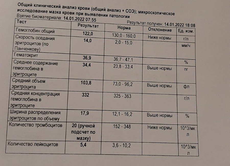 Рдкб анализы. Анализ клинических случаев. Клинический анализ крови л 39%. Клинический анализ крови паолчояд. 6. Полный клинический анализ анестезина.