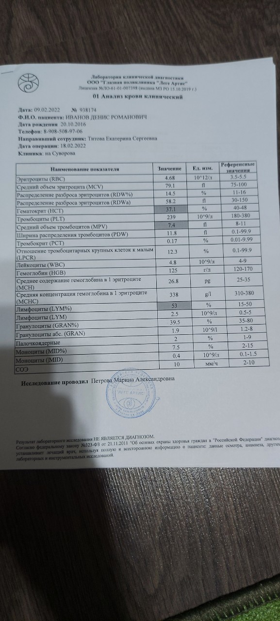 Гематокрит у кошек понижен