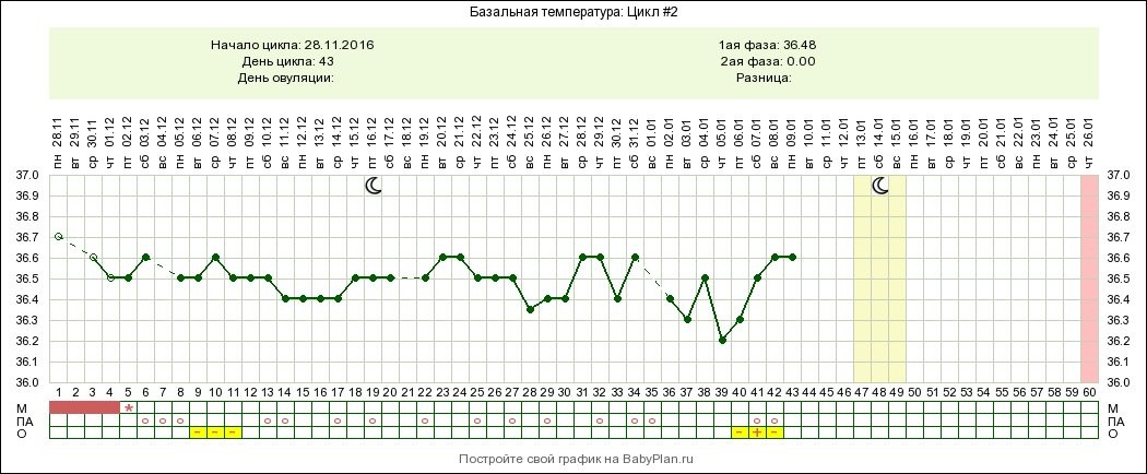 Температура 36.8