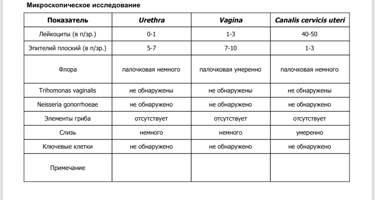 Количество эпительных клеток в образце