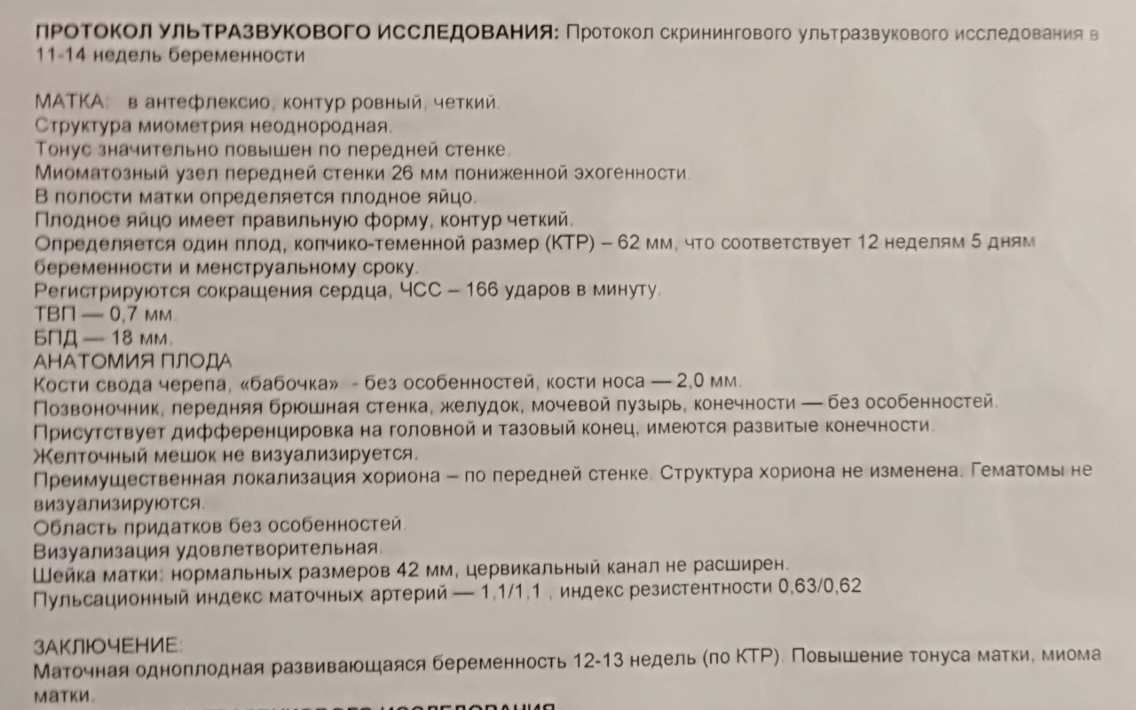 Тонус премиум узи. Протокол УЗИ беременности. Беременность 11 недель УЗИ протокол. Протокол УЗИ беременных. Протокол УЗИ беременной.