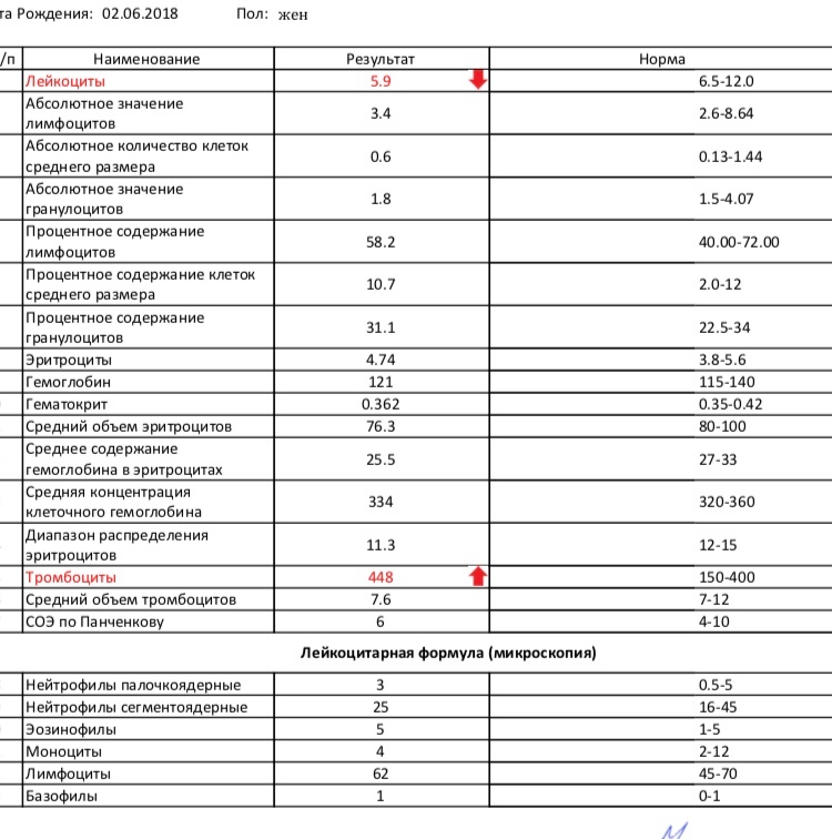 Тромбоциты по фото норма