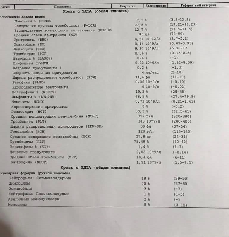 Мононуклеары в общем анализе крови фото