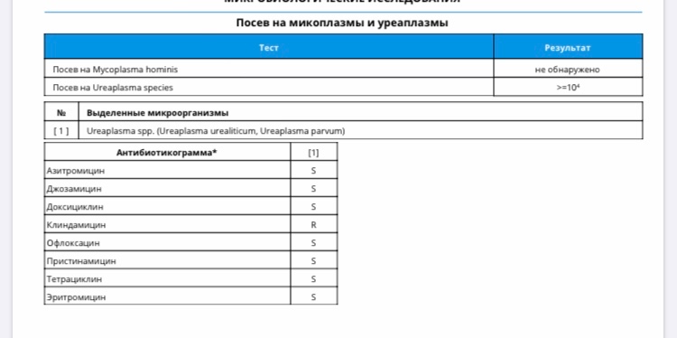 Микоплазма гарднерелла уреаплазма схема лечения у женщин