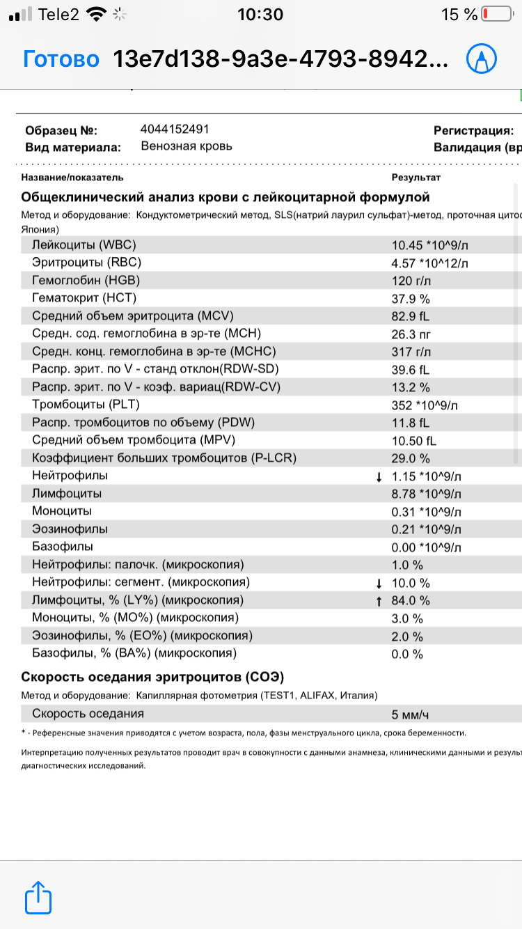 Палочкоядерные в анализе крови