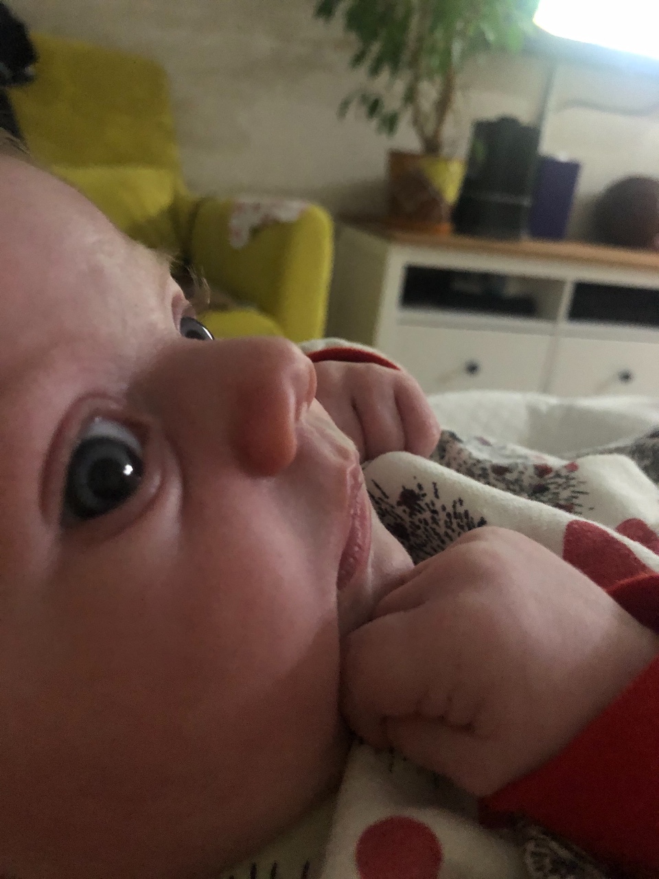 У малышки большой нос при рождении