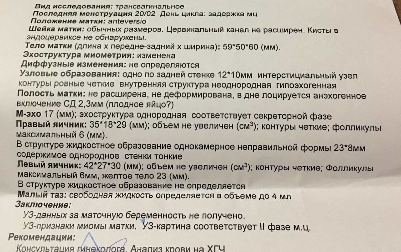 Миометрия что это такое у женщин. ХГЧ при миоме. ХГЧ при миоме матки. Миометрий по дням цикла. Гипертонус миометрия при беременности.