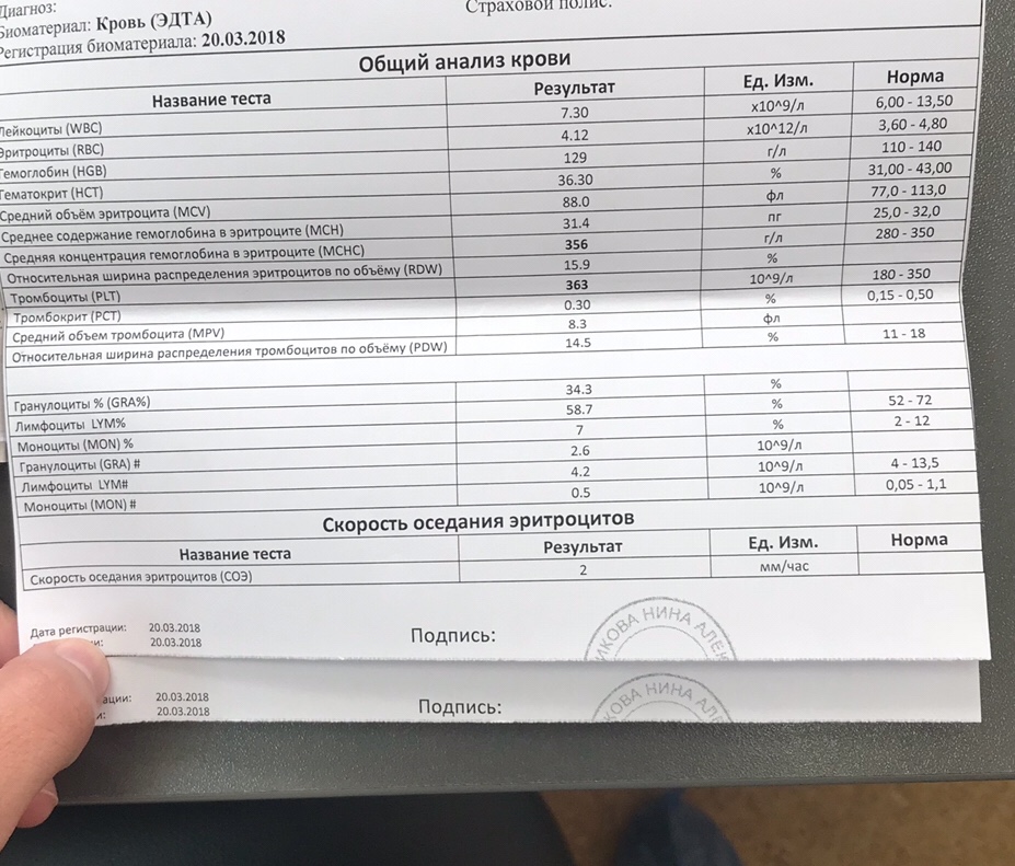 Mchc в анализе. Норма анализа крови MCHC что это и норма. MCHC В анализе крови норма у детей. MCHC В анализе крови норма для женщин. MCHC У детей норма в г л.