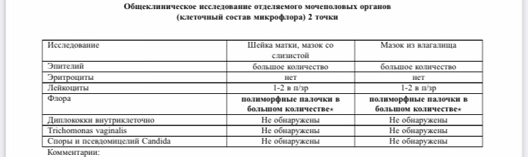 Какие вопросы задать врачу при беременности