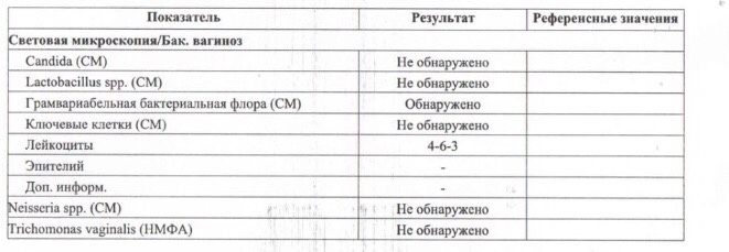 Кокко бациллярная микрофлора в мазке у женщин. Кокки 1 в мазке у женщины. Коккобациллярная Флора мазок. Коккобациллярная Флора в мазке у женщин. Коккобациллярная Флора в мазке у женщин норма.