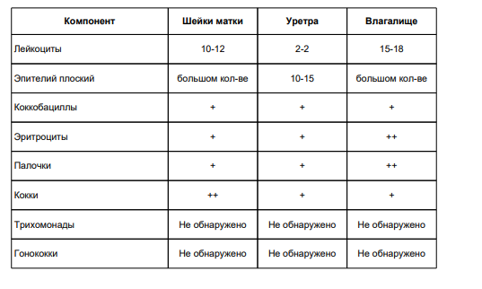 3 степень чистоты мазка