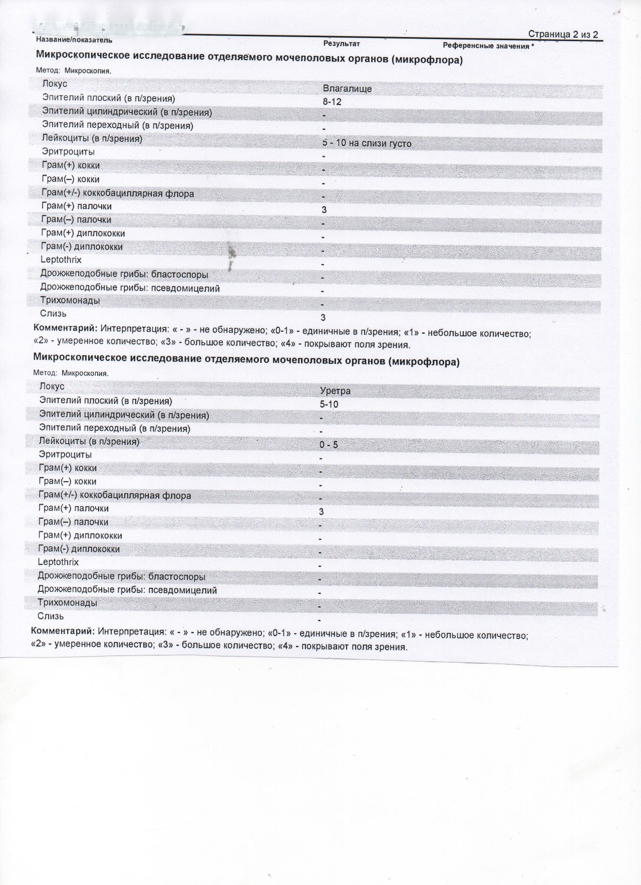 Исследование микрофлоры урогенитального. Расшифровка микроскопических исследований отделяемого. Микроскопия мазка отделяемого мочеполовых органов. Микроскопическое исследование отделяемого мочеполовых норма. Микроскопическое исследование мазка из влагалища норма.