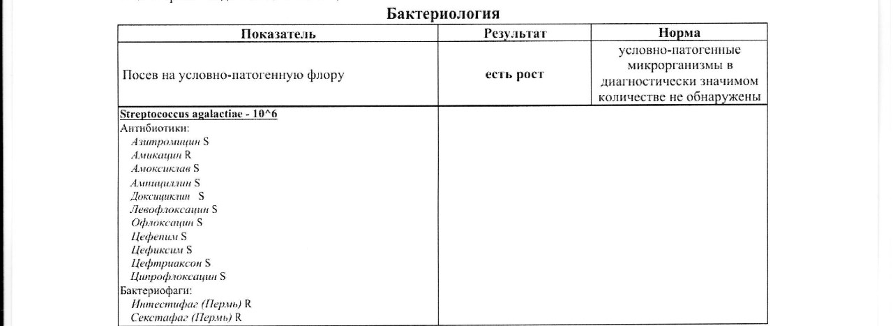 Посев на условно патогенную. Рост условно-патогенной микрофлоры в диагностически значимом. Расшифровка результат посева на патогенную флору. Условно патогеный микрофлоры в ди. Посев на условно-патогенную микрофлору есть рост.