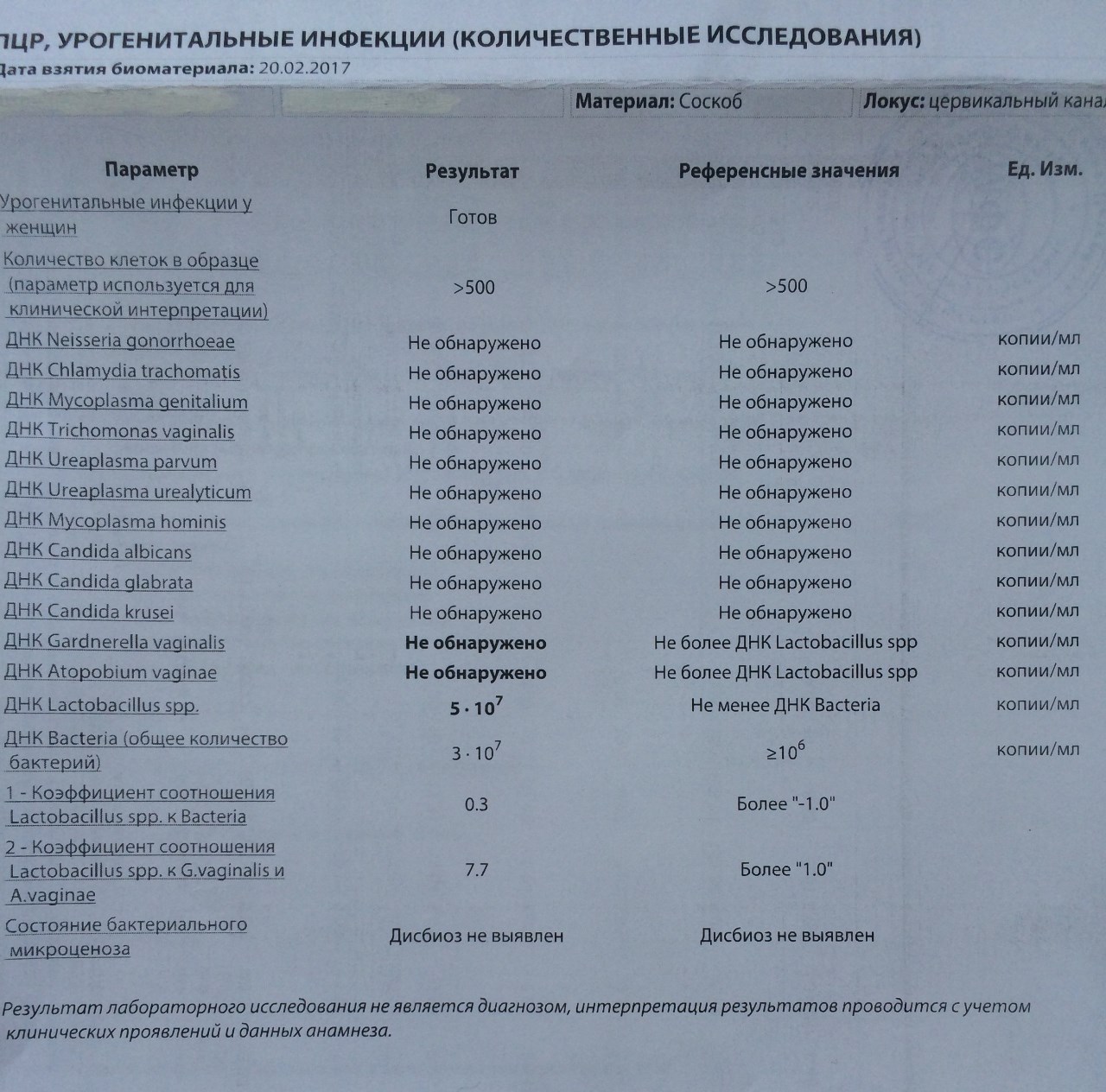 Cmd урогенитальные инфекции