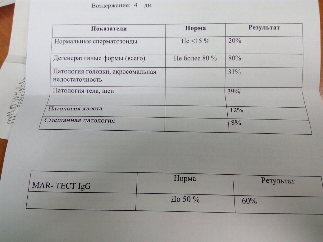 Норма днк. Фрагментация ДНК спермограммы расшифровка анализа. Фрагментация ДНК спермограммы норма. Расшифровка фрагментации ДНК спермограммы. Анализ фрагментации ДНК спермограммы.