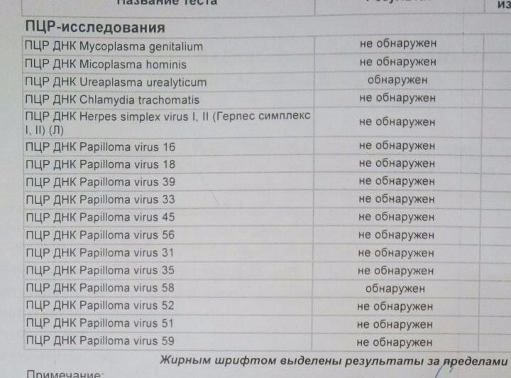 Пцр на оки. ПЦР. ПЦР инфекции для мужчин. ПЦР хламидия. Количественный анализ на хламидии.