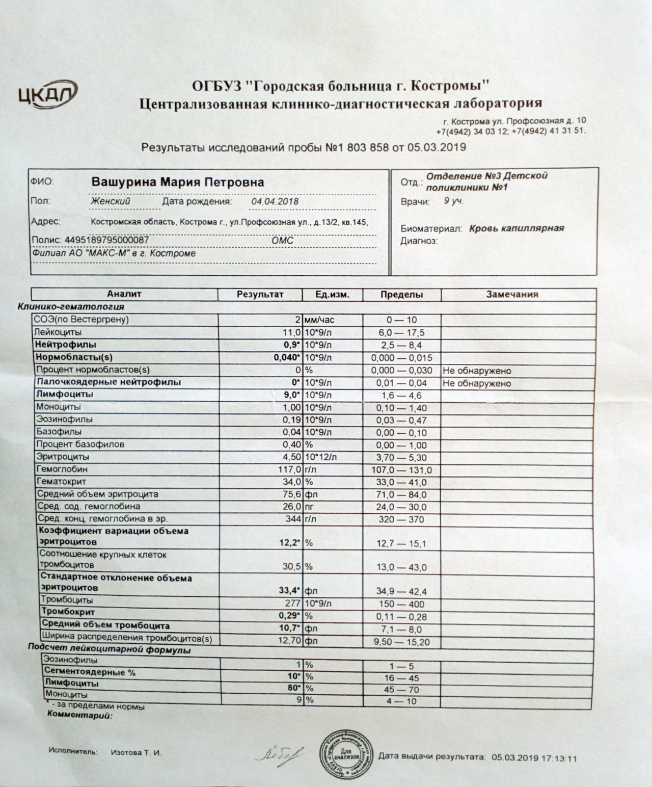 Нормобласты в крови картинки