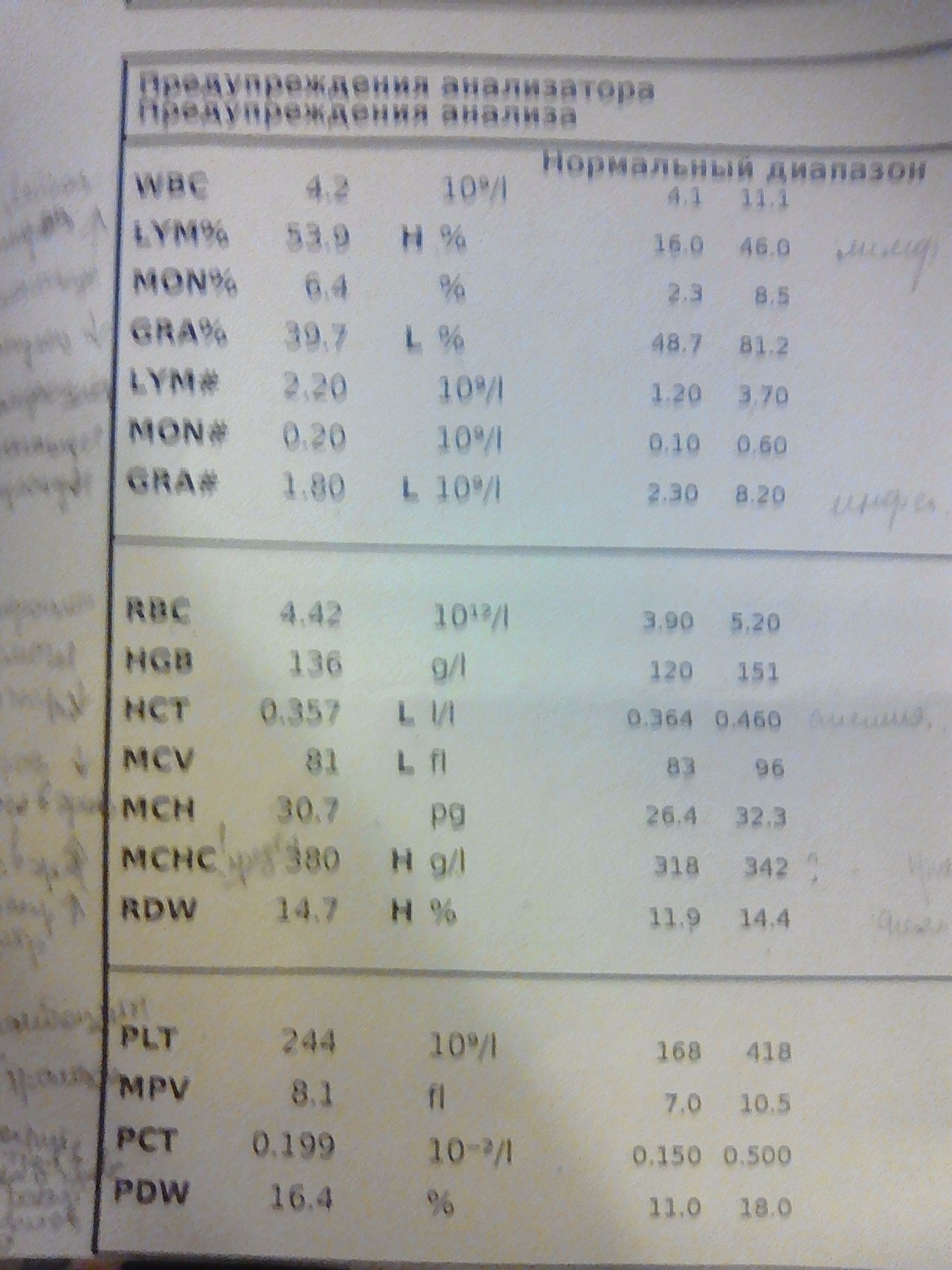 Повышена mchc у ребенка