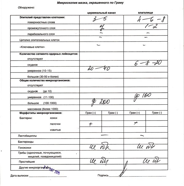 Расшифровка мазка на флору