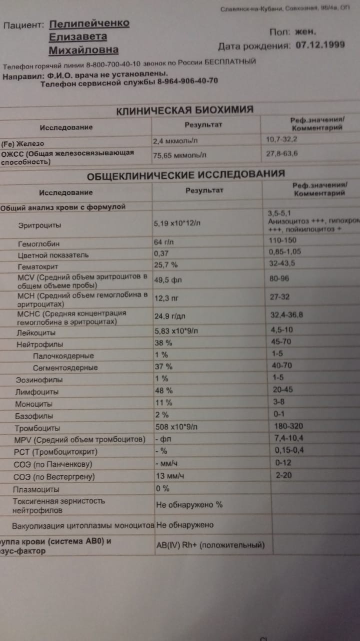 Ожсс повышен у женщин. ОЖСС анализ крови. Общий анализ гематолог. Консультация гематолога.