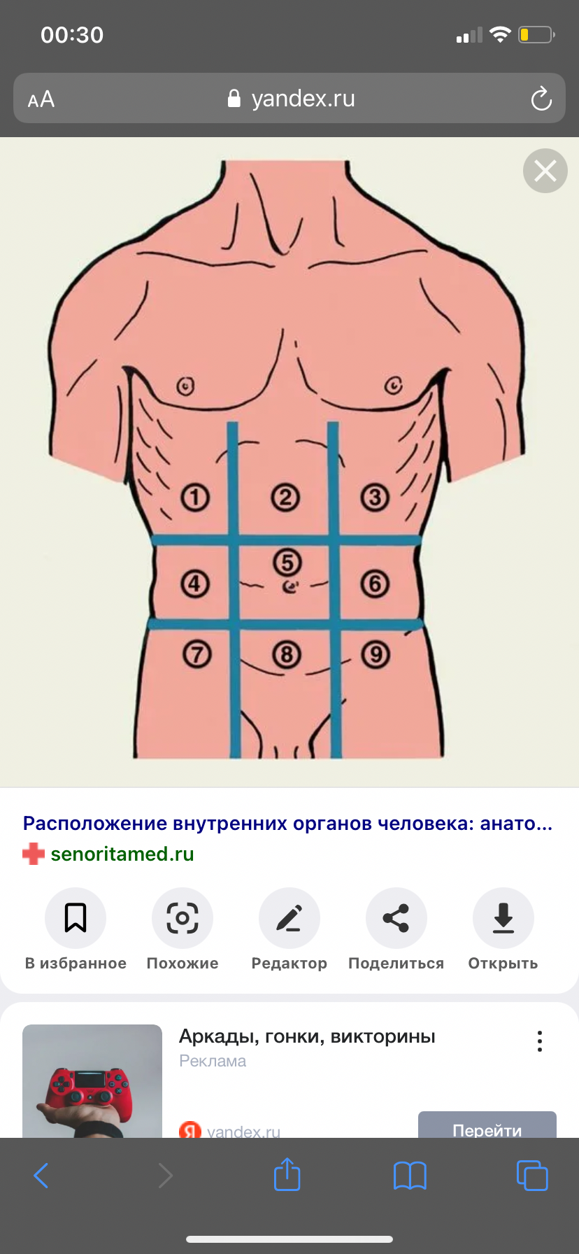 Эпигастральная область желудка. Подложечная область желудка. Эпигастральная область желудка где находится фото. Подложечная область желудка это где находится.