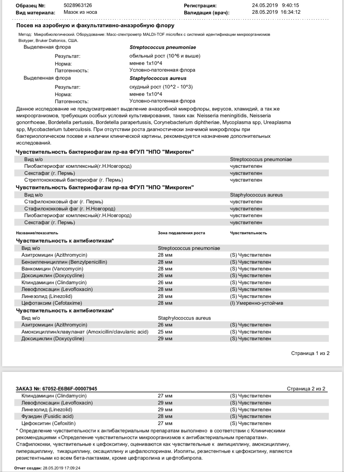 Streptococcus agalactiae у мужчин. Стрептококк ангинозус норма. Стрептококки SPP В мазке. ДНК стрептококк норма у женщин в мазке.