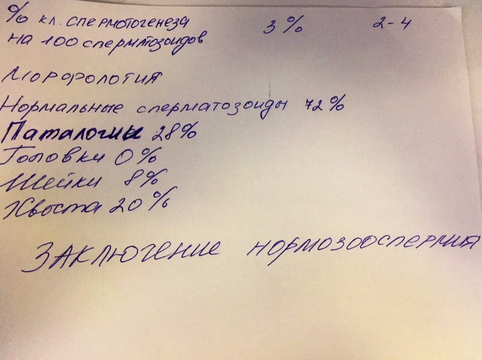 Нормоспермия. Спермограмма нормозооспермия. Нормозооспермия круглые клетки. Нормозооспермия диагноз после спермограммы. Нормозооспермия фото результатов.
