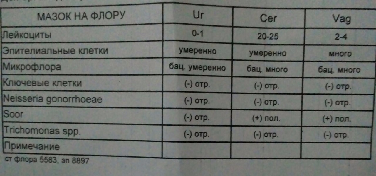 Мазок на флору лаборатория. Фибрин в мазке на флору у женщин норма. Фибрин в мазке на флору у женщин. Мазок на флору у женщин расшифровка фибрин.