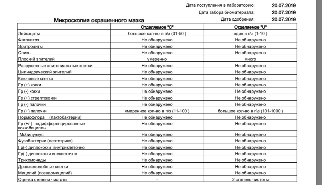 Кокки в мазке лечение. Lactobacillus SPP норма у женщин в мазке. Lactobacillus SPP норма у женщин в мазке расшифровка. Лактобактерии для женской микрофлоры норма в мазке. Lactobacillus SPP В мазке у женщин норма таблица расшифровка.