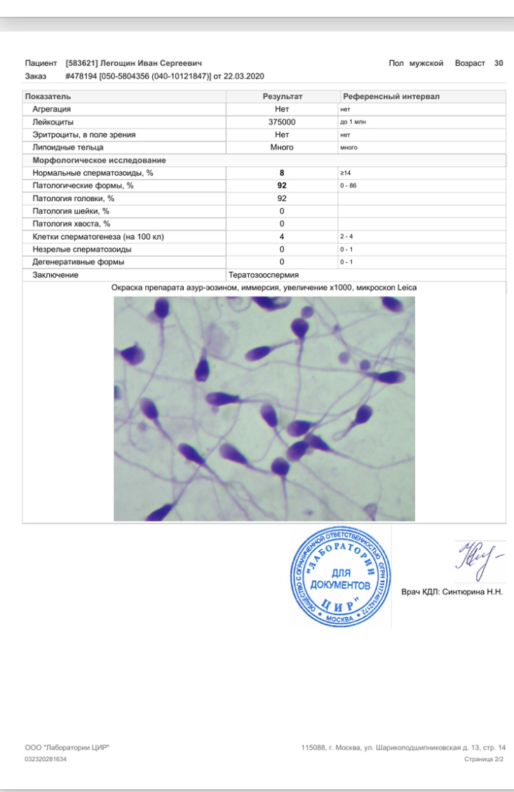 Схема лечения тератозооспермии форум