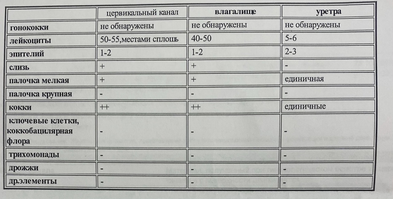 Результаты анализа мазка