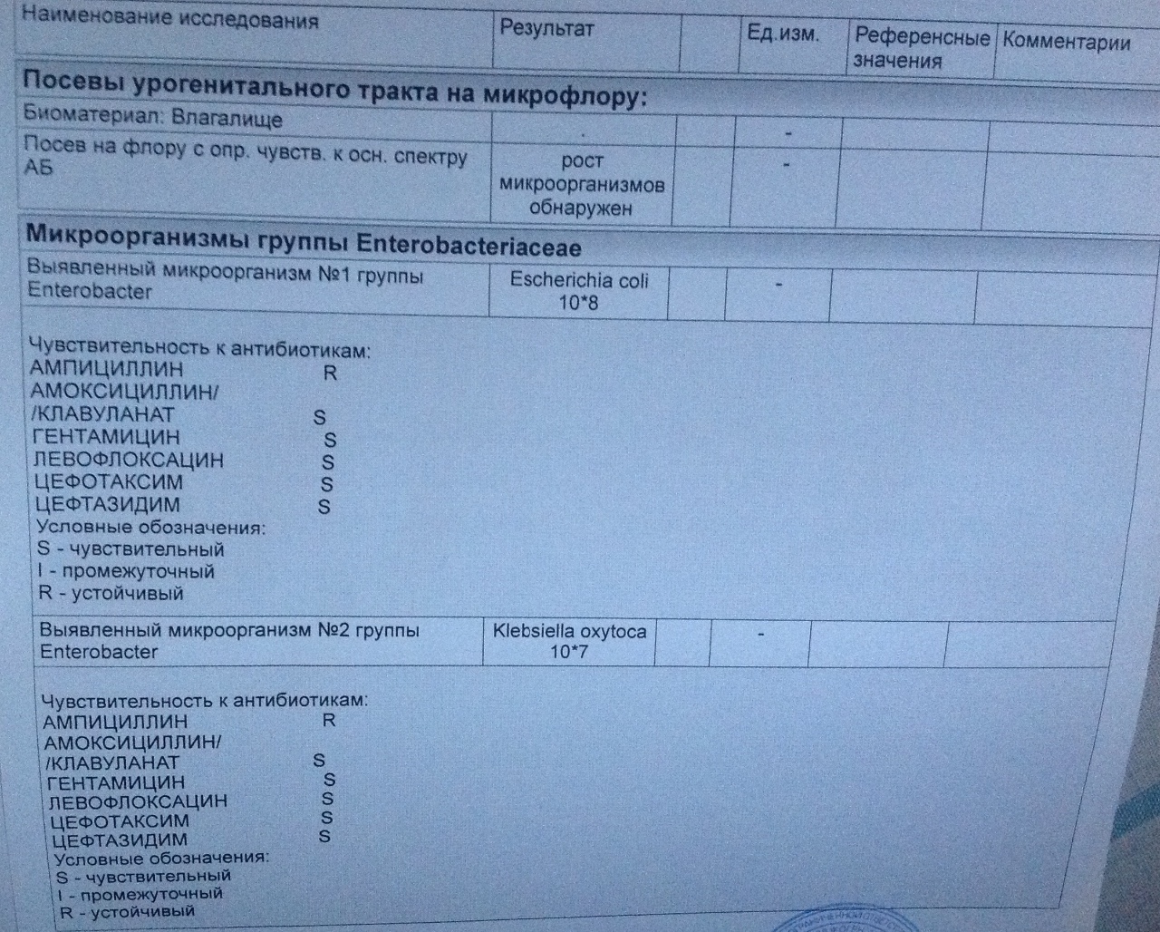 Посев отделяемого на флору. Посев на микрофлору из влагалища. Бак посев отделяемого влагалища. Бакпосев из влагалища результат. Результаты бак посева мазка.