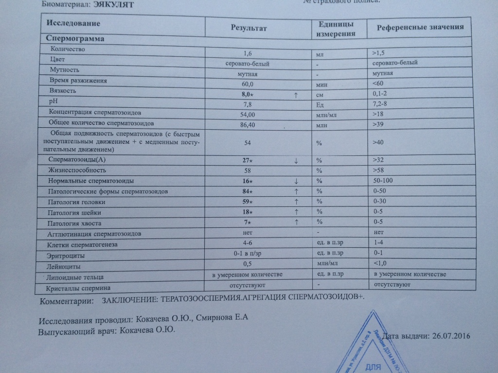 Образец результата спермограммы