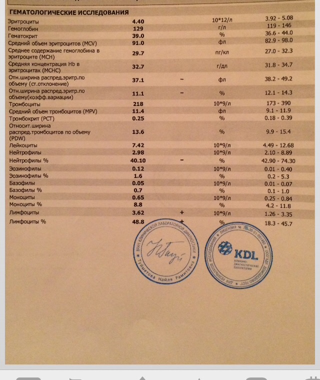 Лимфоциты повышены у женщины причины. Лимфоциты повышены 3,34. Высокие лимфоциты в крови у женщины. Лимфоциты повышены 37.3. В- лимфоциты в крови 80% что это такое.